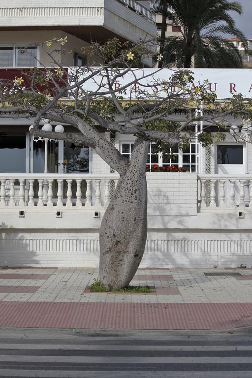 Joy Beach B&B Torremolinos Exterior foto